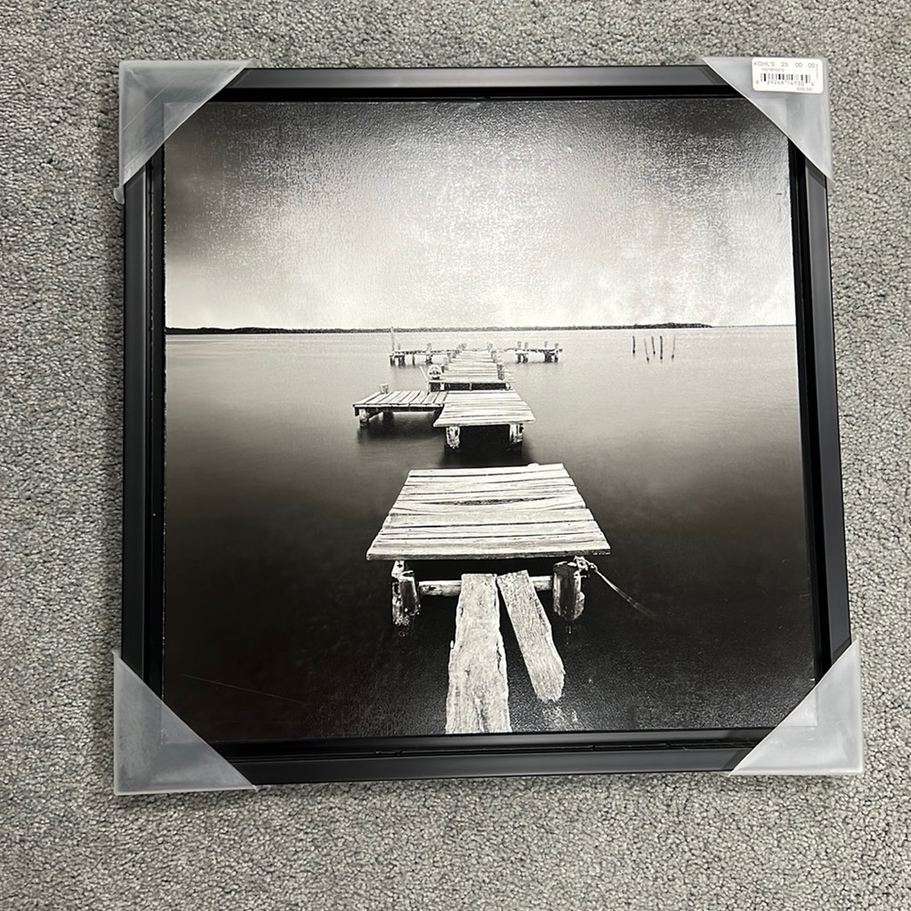 New Framed Art approximately 19 inches square